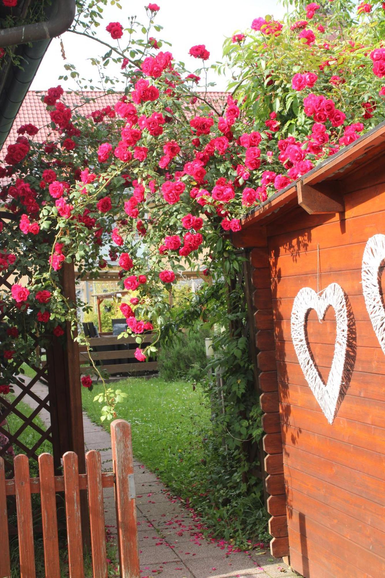 Apartmenthaus Wertheim Kültér fotó